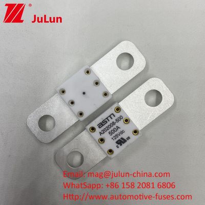 Professionelle A202008 300A 125VDC Schwerlast-Automotive Batterie Ladegerät Sicherung 100A 150A 200A 250A 300A 350A 400A 500A 20KA Brechkapazität
