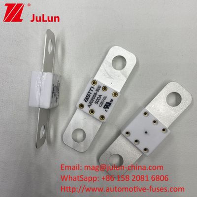 Professionelle A202008 300A 125VDC Schwerlast-Automotive Batterie Ladegerät Sicherung 100A 150A 200A 250A 300A 350A 400A 500A 20KA Brechkapazität
