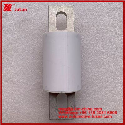RS309-MD 400A 500VAC 200KA 500VDC 50KA AR Röhren-Keramik-Fusile für Fahrzeuge