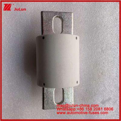 500VDC 200KA 500VAC 50KA AR Röhrchen-keramische Schnellschutzschutzschutzschutz RS309-MD 500A für Elektrofahrzeuge und Batteriesysteme