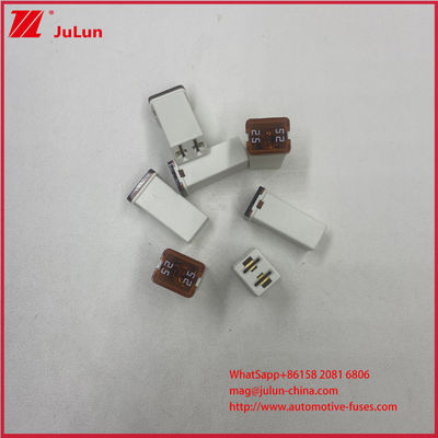 Fahrzeug 32VDC Schaltkreisbrecher Mini-Auto Sicherungen 25A 32V Endgeräte weibliche Quadrat Plug-In Sicherung Link für Fahrzeug 0495025.ZXA