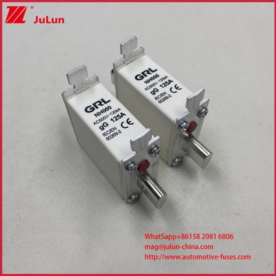 225A 160A 125A NT000/NH000 125A Sicherungsknoten/Halter Balde Sicherung Keramik Porzellan Sicherungsbasis