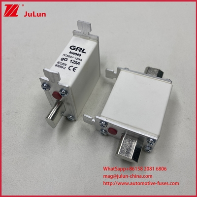 225A 160A 125A NT000/NH000 125A Sicherungsknoten/Halter Balde Sicherung Keramik Porzellan Sicherungsbasis
