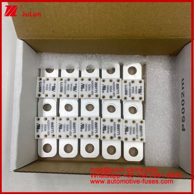 Versatile Keramik A202001 400A 125V 250A Fahrzeug- und Fuse-Halter Kompaktes Fahrzeug-Batterie-Ladegerät