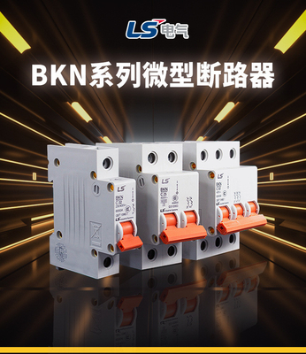 Defekter MikroLeistungsschalter BKN, elektrischer kleiner Leistungsschalter Fahrwerkes/LS