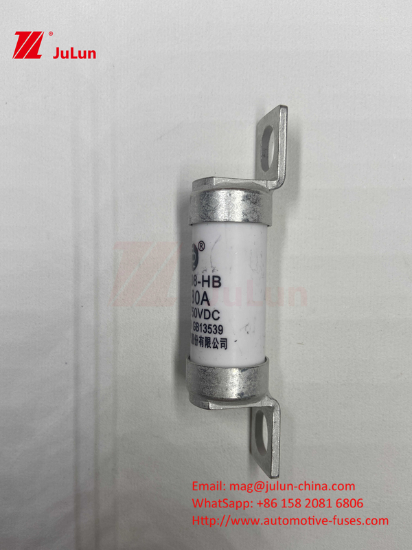 63A RS308 HB Sicherung mit Schraubenbefestigung 80A 10A 15A 40A Automotive Keramik Sicherungen mit Schraubenbefestigung