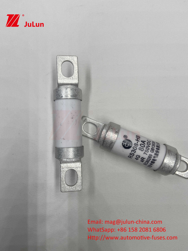 Keramikröhrchen 20x46mm 15A 40A 50A RS308 HB G FUSE 750VDC EV325 100A