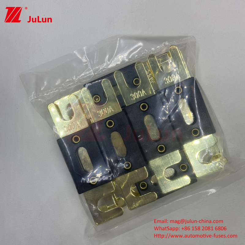 2Fork Bolt AGU Sicherung 200A/ANL Fork Bolt Sicherung Platte Sicherung Automotive Sicherung 500A