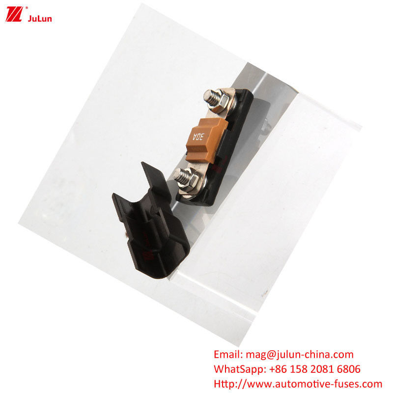 32V Fahrzeugschutzschutzschutzhalter mit 30A-500A Bolt/Bolt Rated Ampere 2-Polar Schutzschutzblock