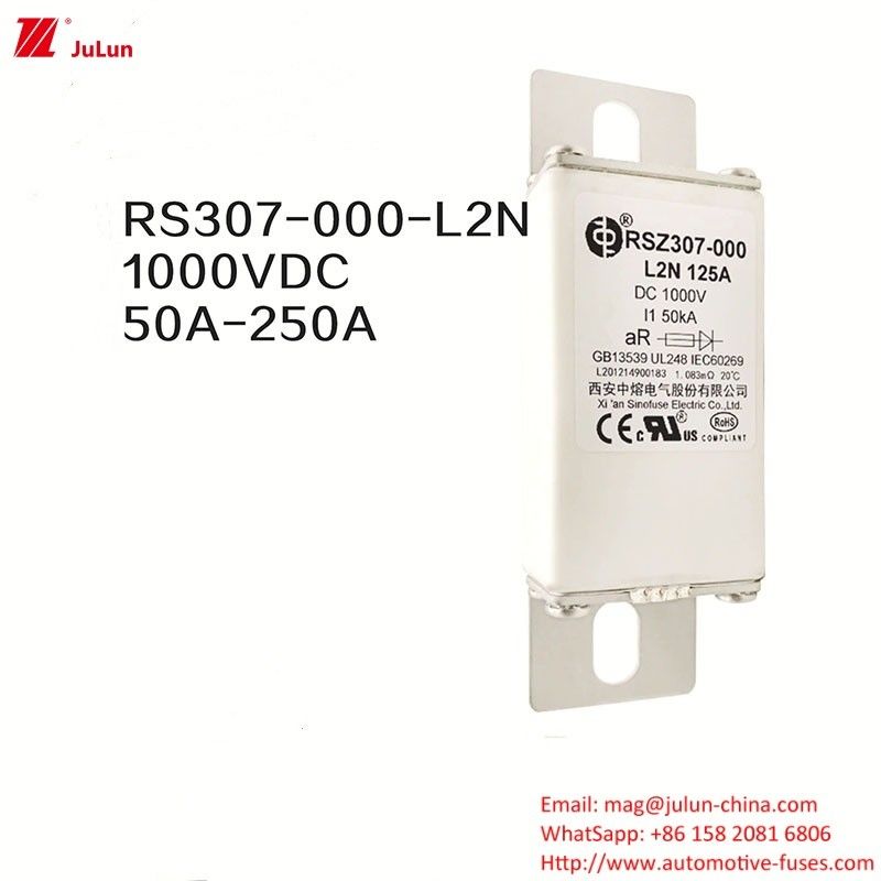 100A Bolt On Ev Dc Schnellladegerät / Schnellladung für Elektrofahrzeuge RSZ307-000-L2N Sicherung