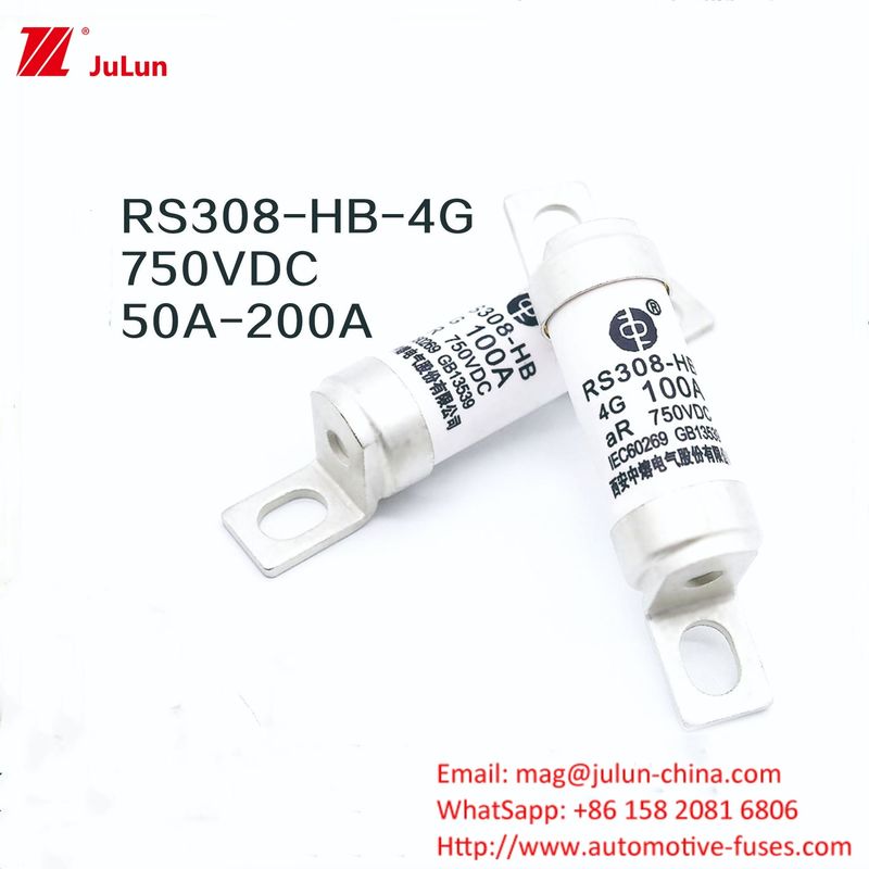 Ev-Ladegerät RS308-HB4G Serie 32A 63A 100A Mini-Sicherheiten für Auto