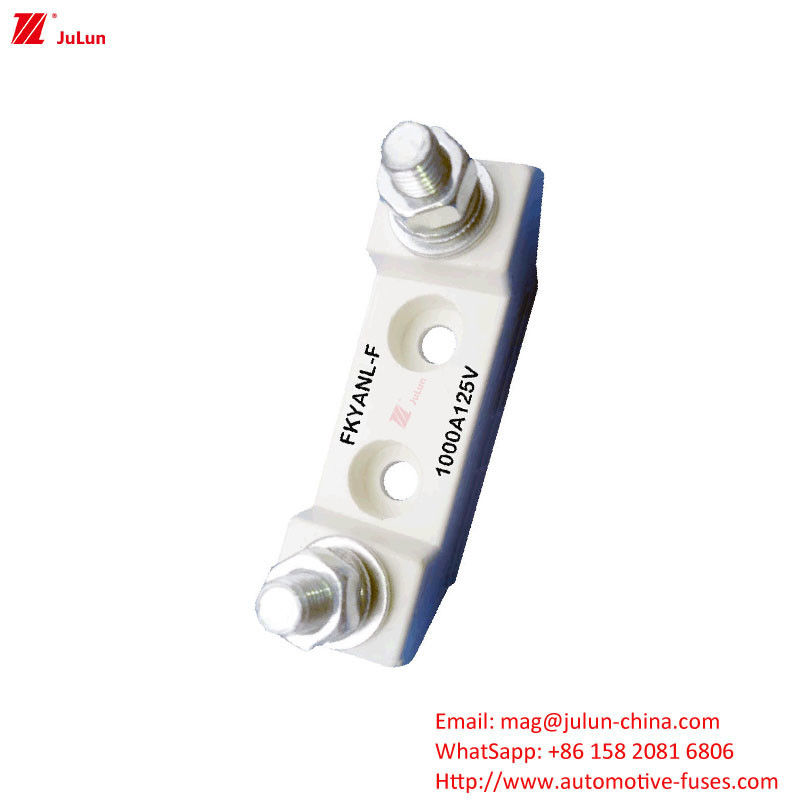 UL Standard Bipolar Automotive Ersatzteile Kunststoff Gehäuse Sicherung / Sicherung Halter Nennspannung 125V
