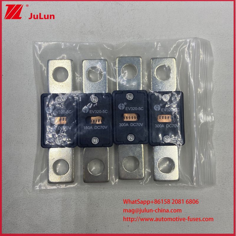 500A Anpassbare Tragbare EV320-5X 5C DC70V 150A 300A Ladegerät Sicherung Maximale Spannung von 72VDC