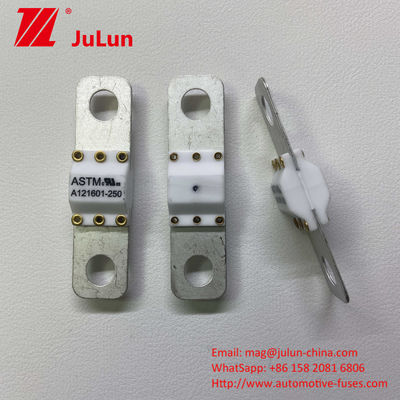 100A Portable EV Charger Tools Brandschutz Hochbrüche Kurzschlussschutz Sicherung