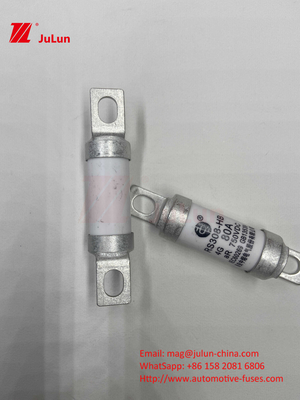 Keramikröhrchen 20x46mm 15A 40A 50A RS308 HB G FUSE 750VDC EV325 100A