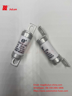 Keramische Elektrofahrzeuge 750VDC für sicheres Aufladen in Fahrzeugen 63A25A 15A 30A 750VDC RS308 FUSE