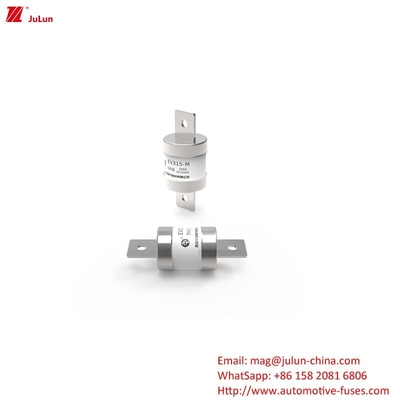 EV-Ladegerät Adapter kompatibel mit Elektroauto 500V DC 500A