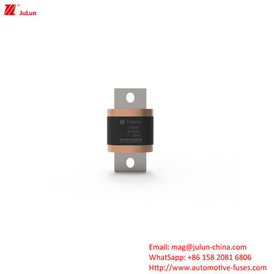 EV8-MKM 450A-1000A DC500V Boxed Safety Fuse für das Endgerät eines Elektrofahrzeugs