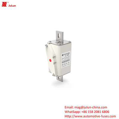 Panel Mount TUV CE mit maximaler Eingangsströmung von 400 A Gleichstrom