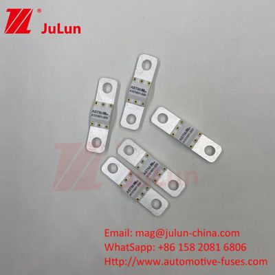 ASTM FUSE 121601 80A 125VDC Sicherung für Elektroautos