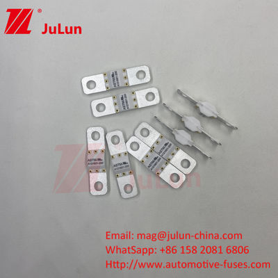 ASTM A121601 125VDC 10KA 20KA Elektrofahrzeug Sicherungen für Straßenfahrzeuge 250A 100A 150A