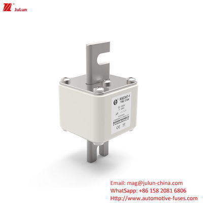 RSZ307 200A-450A DC250V Sicherung für Elektrofahrzeuge