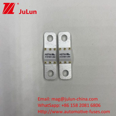 A121601-80A ASTM 125VDC 50A-100A Elektrofahrzeuge Batterien Energiespeicher Sicherungen