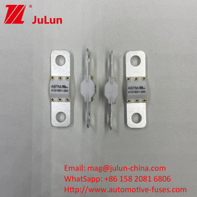 A121601-100A 3KA 6KA 8KA Brechen Elektrofahrzeug Ladung Automotive Sicherung