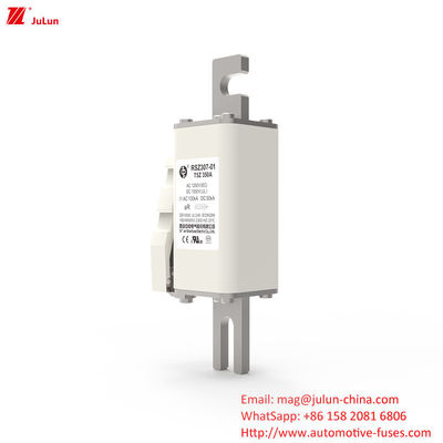 200A DC1000V Hochspannungs Sicherung für elektrische Geräte