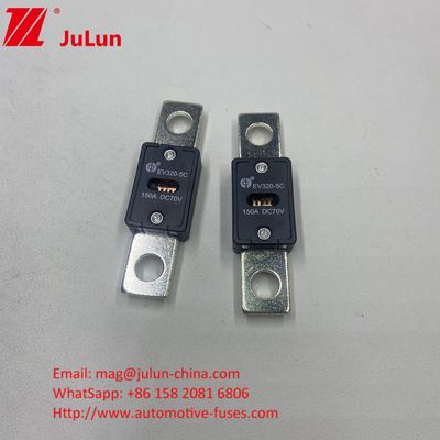 EV320-5X / 5C Automobilbatterie 300A 70VDC Ladegerät Sicherung mit Gleichspannungs Sicherung für EV HEV Schutz enthalten