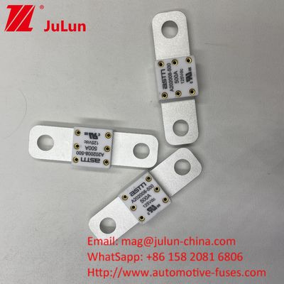 125VDC 200A ANM AMM AEGA ANL CNN CNL Autobatterie Sicherung für Automobil