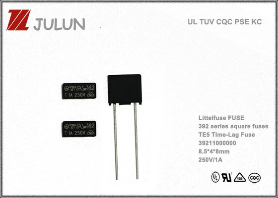 NTS-Quadrat-langsame Schlag-Radialführungs-Subminiature Sicherung 2.5A 250V